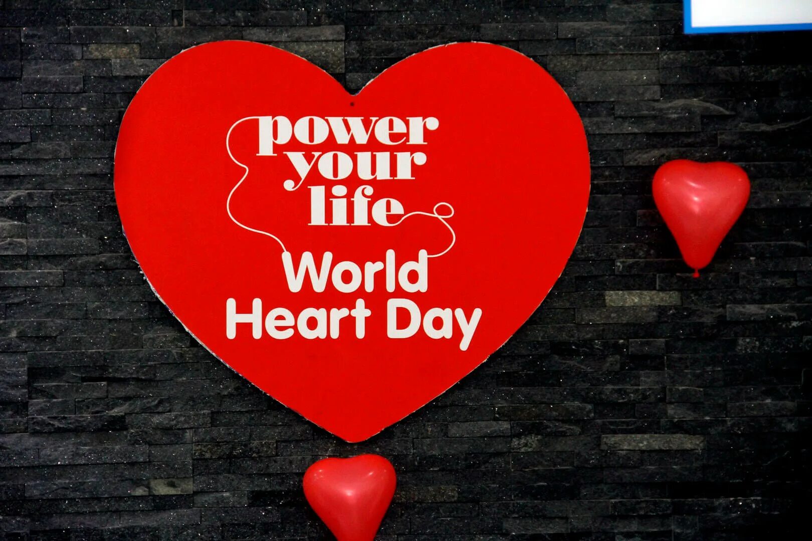 The world is heart. World Heart Day. Всемирный день сердца (World Heart Day). Сердце World Microsoft. The International; Day of Heart pictures.
