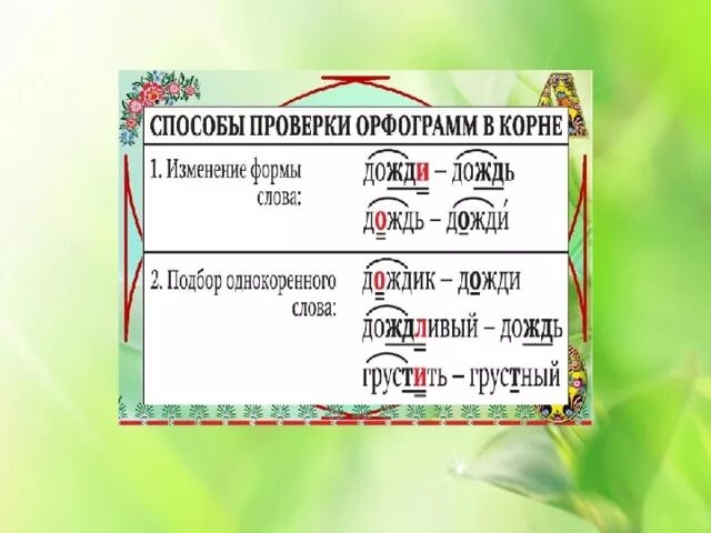 Выделить корень дожди