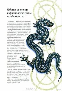 Описание дракона