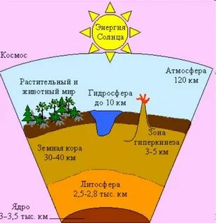 Животный и растительный мир атмосферы