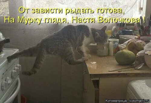 Чего бы ни захотел