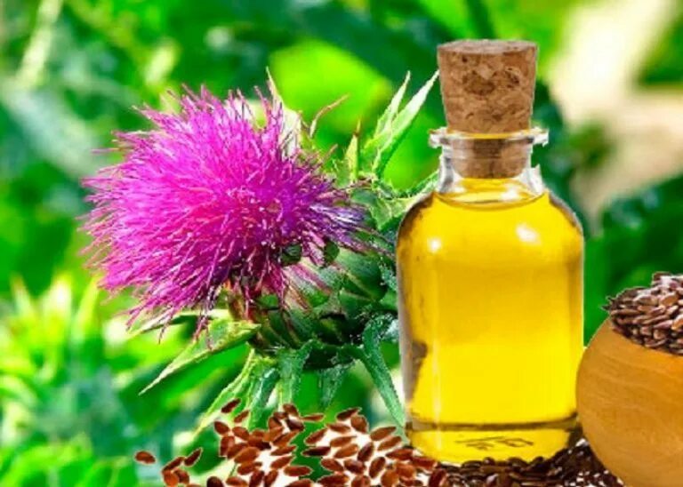 масло расторопши organic, 100 мл. расторопша масло лечебные. масло расторопши organic altay. расторопша пятнистая бад. чертополох маслом.