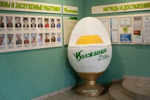 Птицефабрика часы