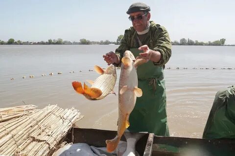 Погода в икряном сегодня