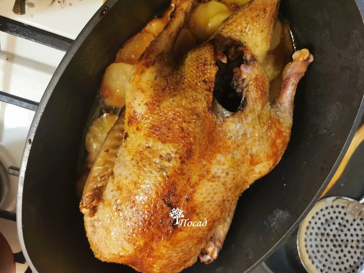 Чтобы утка получилась мягкой. Утка в духовке. Жареный гусь. Чтобы утка получилась мягкой. Чтобы утка получилась мягкой.