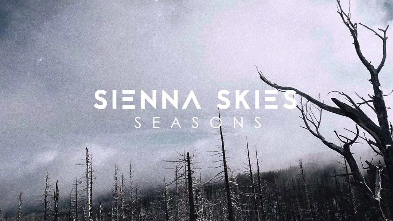 Every skies. Sienna skies. sienna skies logo. stronger (deluxe edition). everiskies.