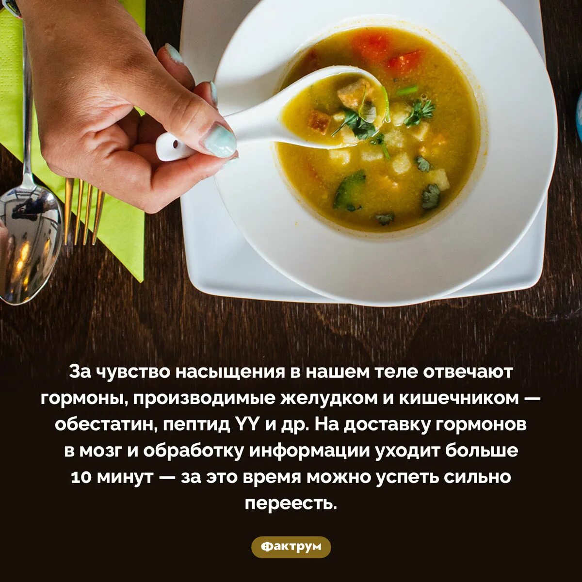 Нет чувства насыщения едой причины. Чувство насыщения. факты о еде. нет чувства насыщения. чувство сытости.