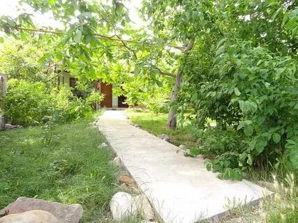 Кабардинка октябрьская