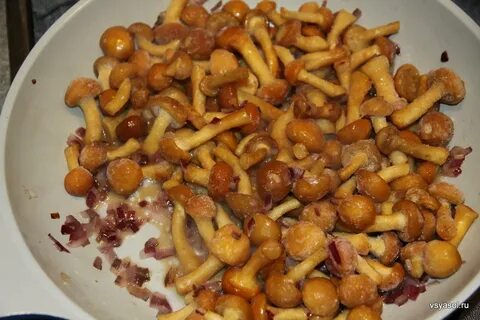 Как пожарить грибы опята с картошкой