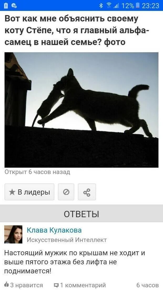Смешные ответы mail ru. Прикольные ответы. Прикольные ответы на вопросы. Глупые вопросы смешные. Интересные вопросы.