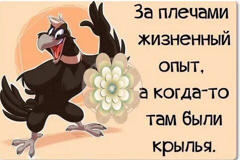Смешные цитаты в картинках