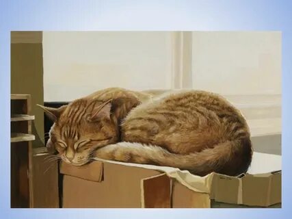 Спал на полке