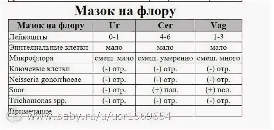 Что показывает мазок на микрофлору у женщин. Мазок на флору. мазок на флору у женщин. мазок на флору у женщин норма. мазок на микрофлору у женщин норма.