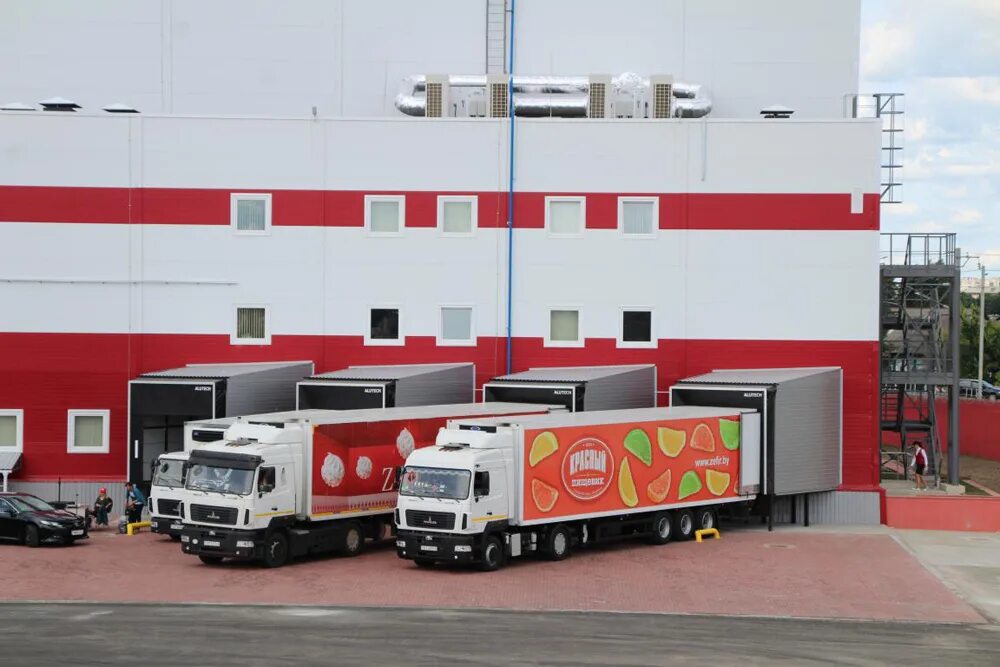 Логистика. Тлц брузги. Белый раст терминально-логистический центр. Логисты беларуси. Логистический центр в беларуси.