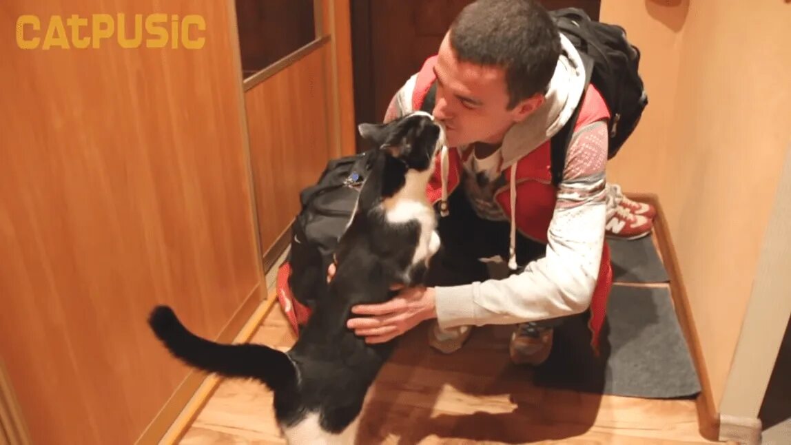 Уговаривает собаку. Кошки и собаки. Домашние животные для квартиры. Собака встречает. Хозяин с кошкой и собакой.