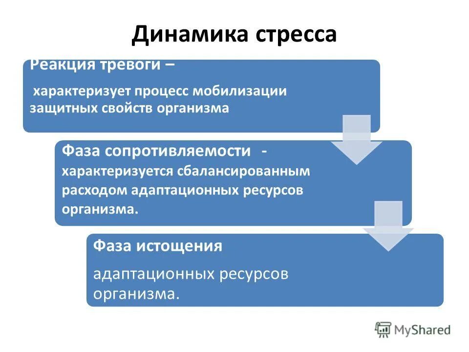 Динамика развития стресса. Динамика профессионального стресса. Динмик ар азвития стессса. Фазы динамики стресса. Механизмы развития стресса