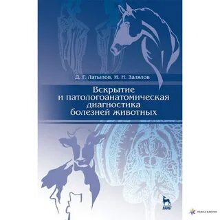 Диагностики болезней животных