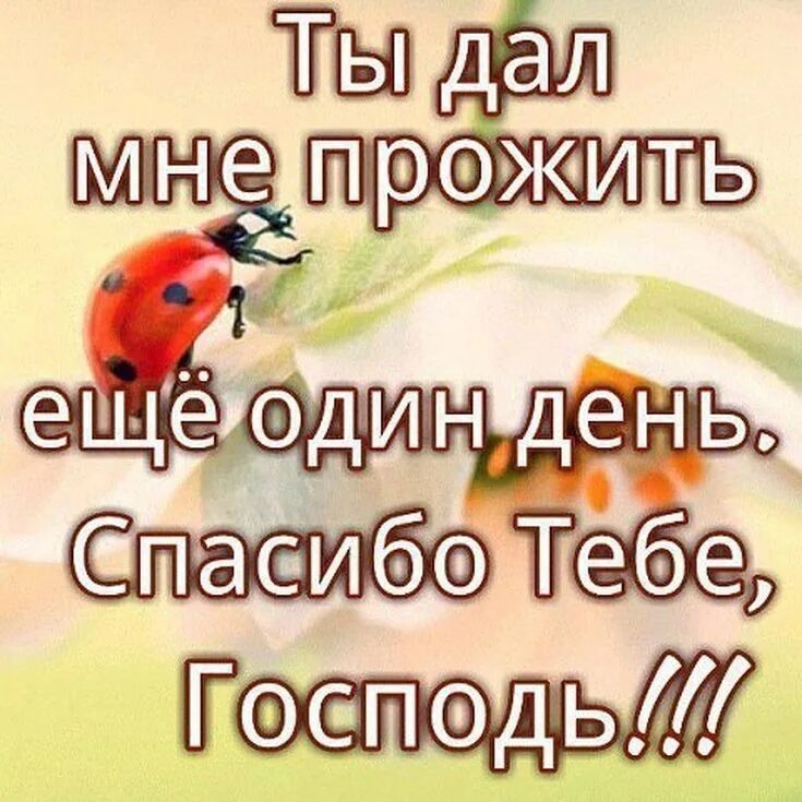 Спасибо за прожитый день. Благодарю за день что прожит. Благодарность Богу за прожитый день. Спасибо Господи за новый день.