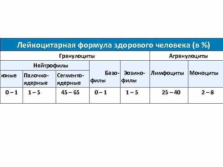 Лейкоцитов 0 что значит. Лейкоцитарная формула здорового человека. Лейкоцитарная формула крови здорового человека. Лейкоцитарная формула норма. Показатели крови норма лейкоцитарная формула.