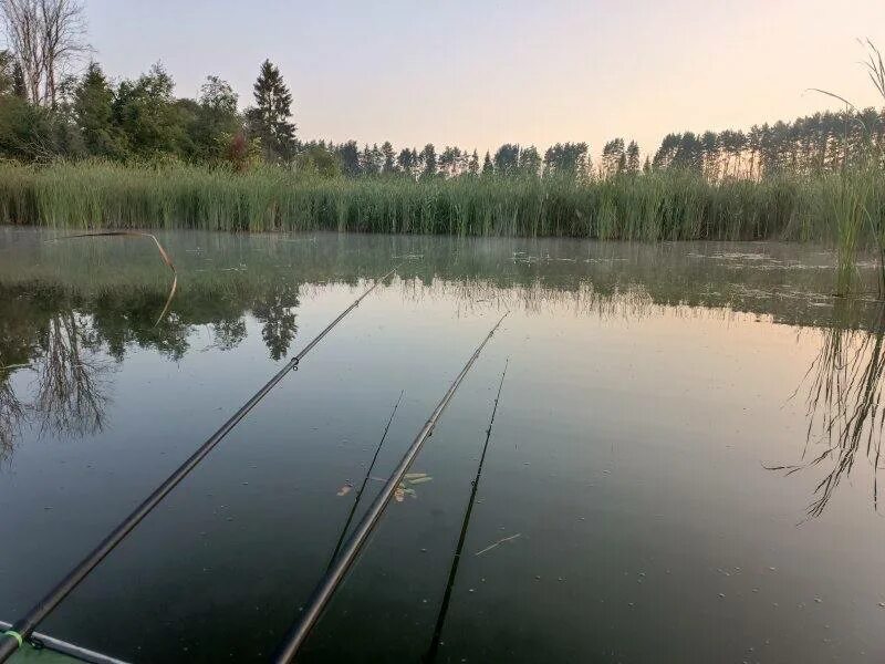 реки подмосковья для рыбалки. река руза рыбалка голавль. рыбалка в гродно в контакте. обыкновенный судак окуневые.