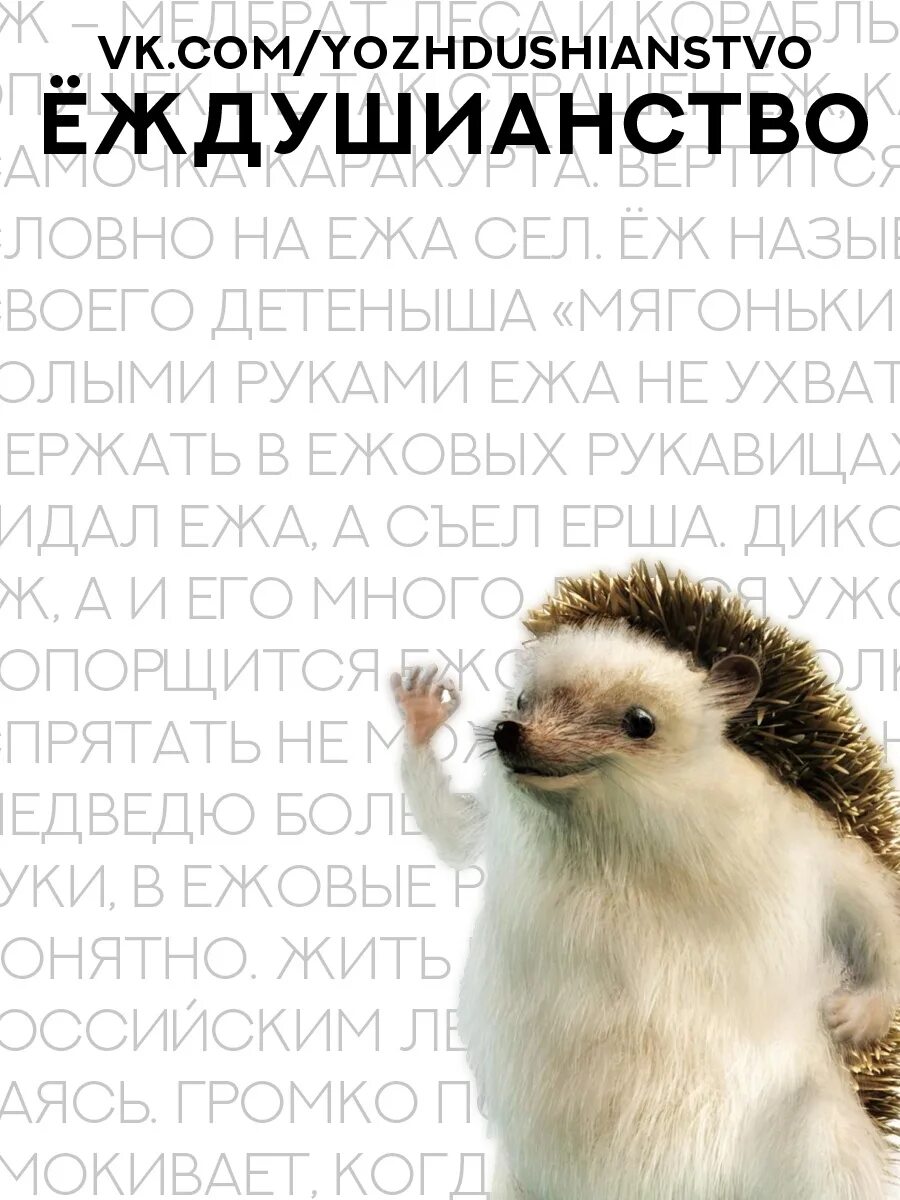 Великий еж