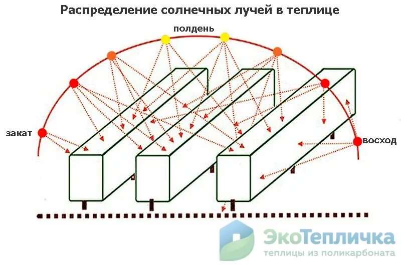 Как правильно установить теплицу по сторонам света. Размещение теплицы и грядок по сторонам света схема. расположение грядок на участке по сторонам света схема. как размещать грядки по сторонам света. как правильно расположить грядки на участке по сторонам света схема.