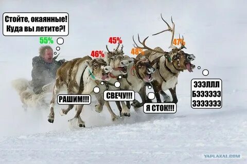 Куда улететь зимой