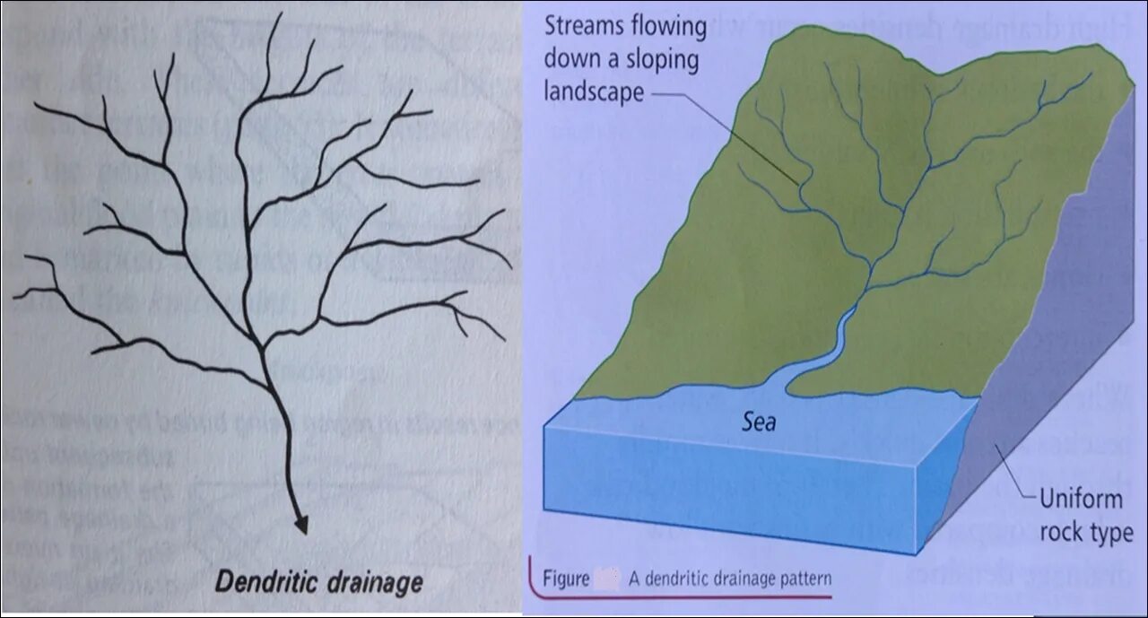 Flowing down. Параллельный Тип Речной системы. Drainage System in Landscaping. Drain pattern. Dendritic mos2 monolayer with the corresponding FFT pattern.