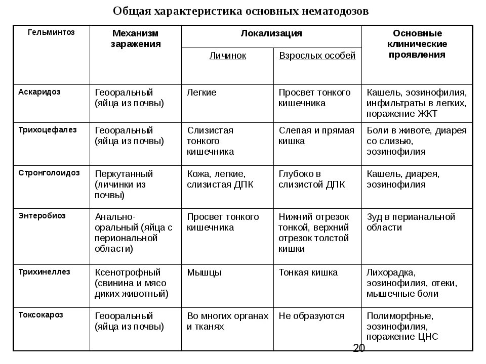 Основные группы болезней. Таблица дифференциальная диагностика паразитических червей. Дифференциальная диагностика круглых червей. Сравнительная характеристика нематод. Таблица круглых паразитических червей.