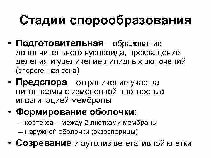 Какие функции спор у бактерий кратко. Процесс спорообразования у бактерий. Механизм спорообразования у бактерий. Этапы спорообразования у бактерий микробиология. Образование спор у бактерий микробиология.