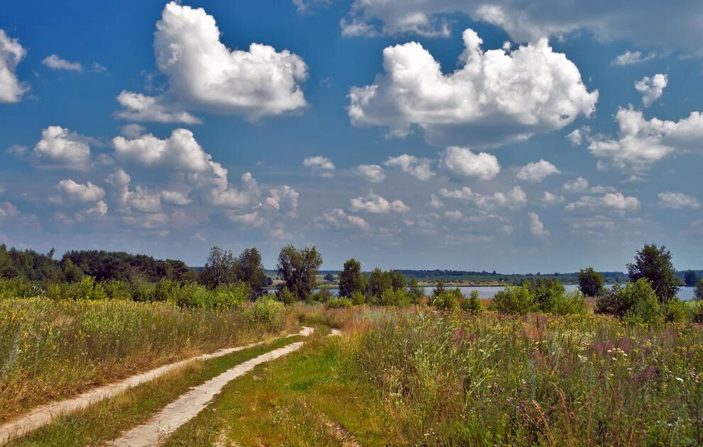 Летний полдень. Знойный полдень. Лето полдень деревня. Лето полдень природа.