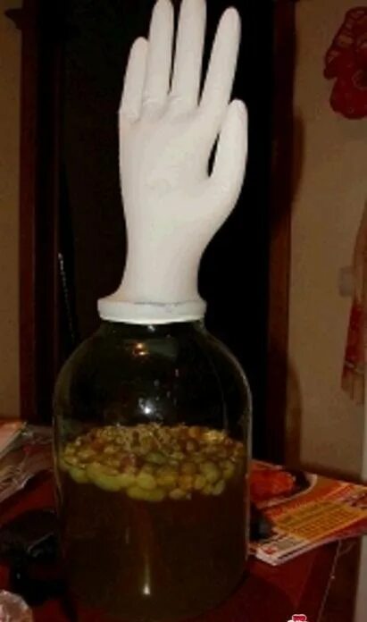 Домашнее вино из изюма без дрожжей. Вино из изюма. Вино из изюма. Черносливное вино. Домашнее вино из изюма без дрожжей.
