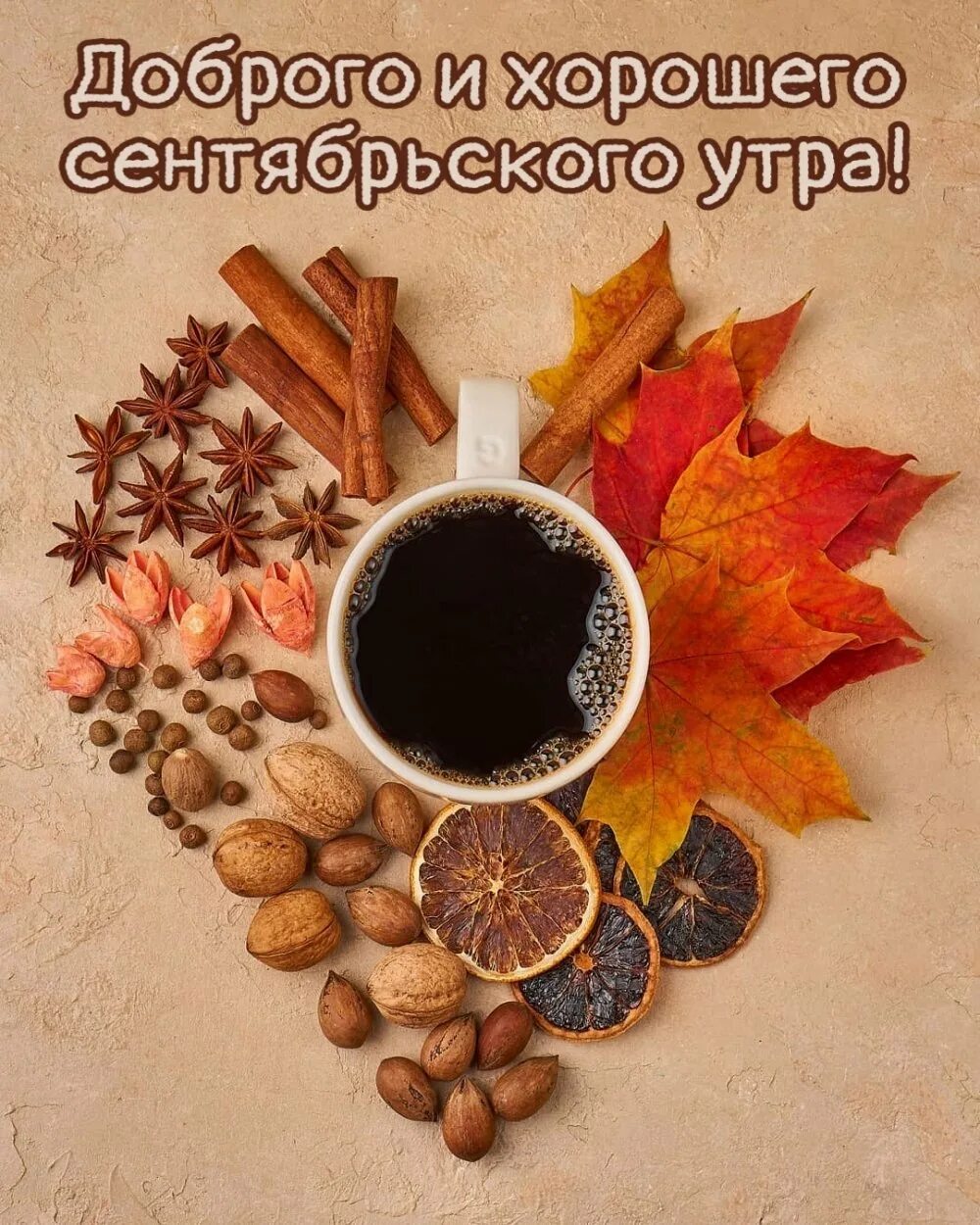 8 сентября утро. Доброе сентябрьское утро. С добрым сентябрьским утром. С добрым сентябрьским утром картинки. С добрым сентябрьским утром Мудрые.
