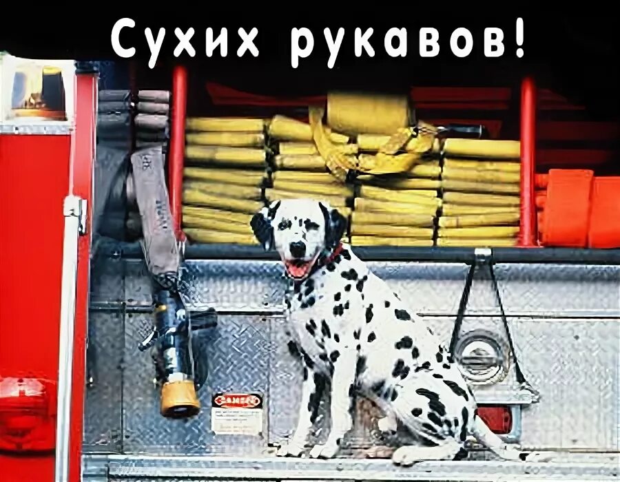 С праздником сухих рукавов. С днем пожарной охраны сухих рукавов. Поздравление пожарным сухих рукавов. Сухих рукавов пожелание пожарным. Сухих рукавов пожелание.