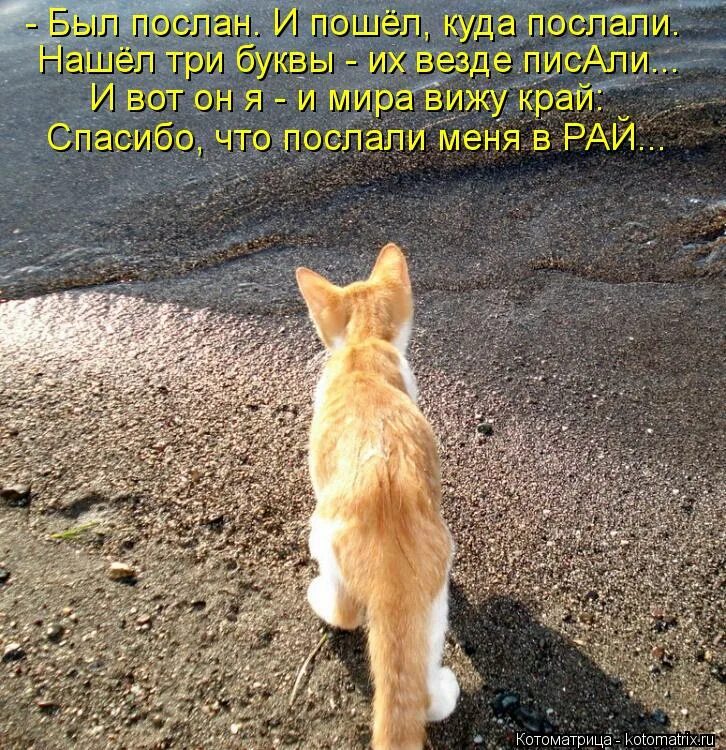 Царевна полетела душа через