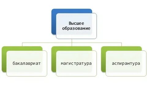 Ветви образования