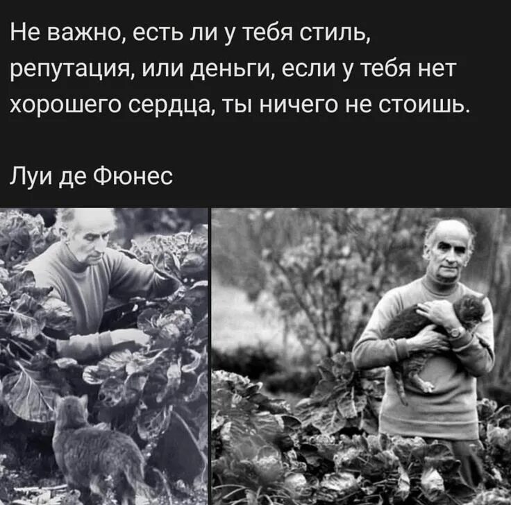 Цитата неважно. Не важно есть у тебя стиль репутация и деньги. Важные цитаты. Неважно есть ли у тебя стиль. Неважно цитаты.