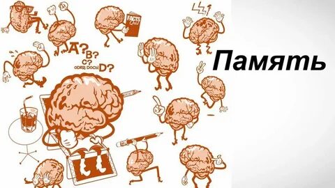 Память человека любовь