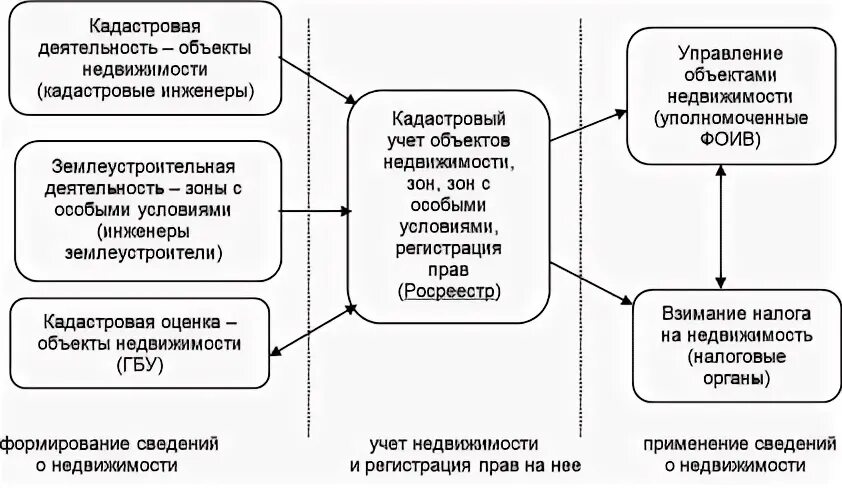 Кадастровую деятельность осуществляет. Структура кадастровых отношений. Структура кадастровой деятельности. Осуществление кадастровых отношений. Кадастровые отношения виды.