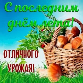 Последний день лета статья