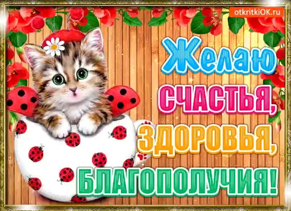 Пожелания здоровья и благополучия. Желаю здоровья и благополучия. Пожелания здоровья и благополучия. Открытки счастья и здоровья. Открытка с пожеланием здоровья и благополучия женщине.
