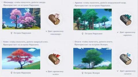 Древесина в геншине