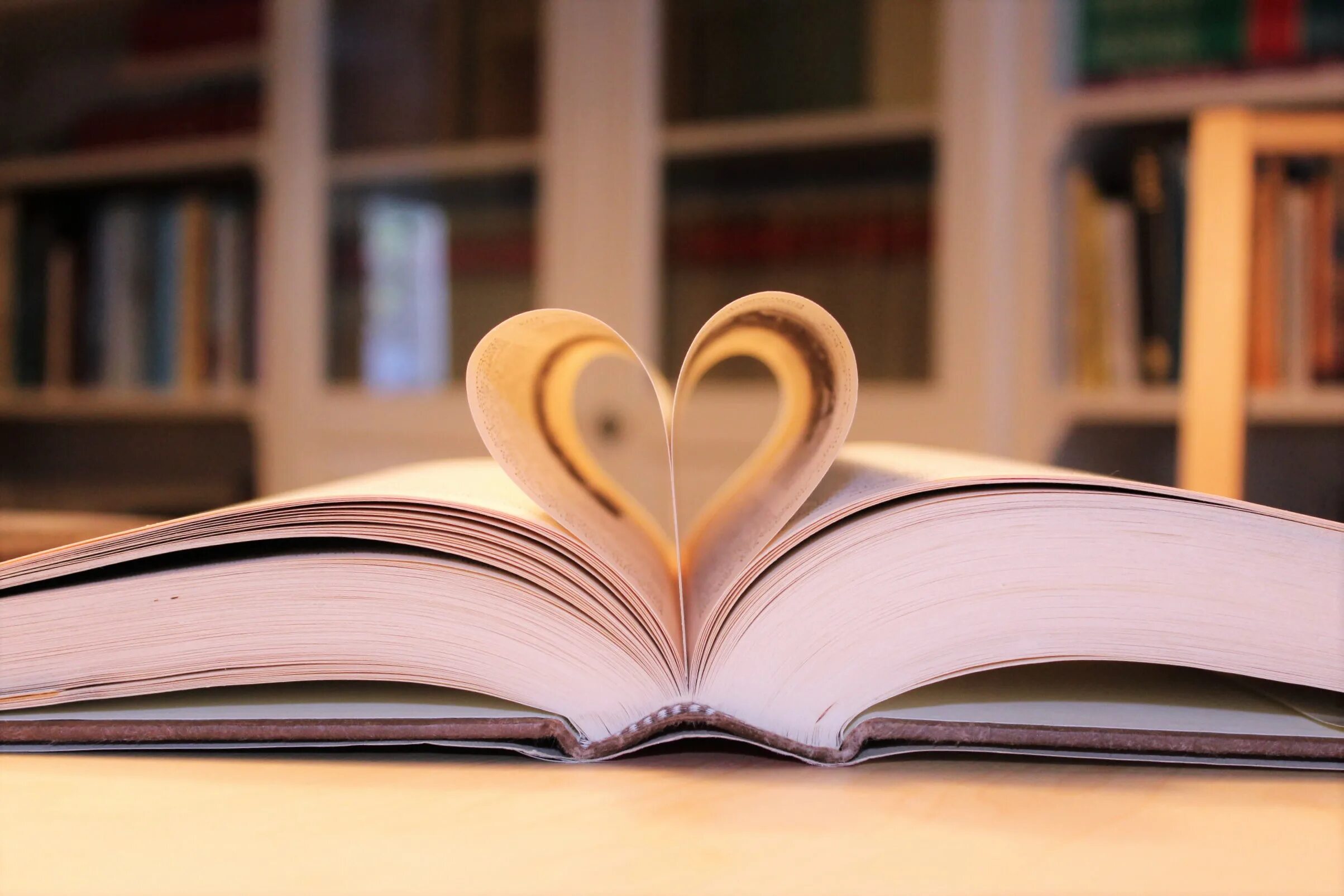 C 10 book. Booklover книга. Book lover Джейн Маунт. Любовь к знаниям. Book lovers Day фон.