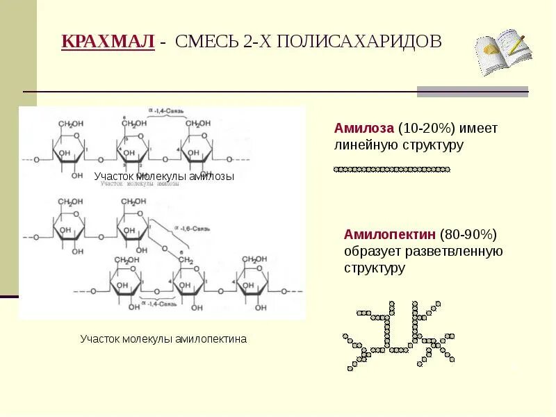 Какую геометрическую форму макромолекул имеет крахмал. Строение молекулы крахмала амилоза и амилопектин. линейная структура крахмала. разветвленная структура крахмала. полисахариды крахмал строение.