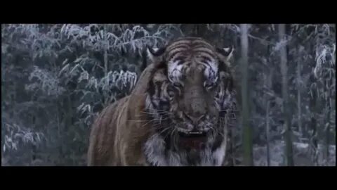 Велики тигр