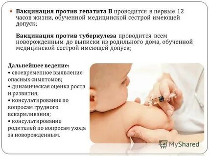 Гепатит в прививка детям в роддоме