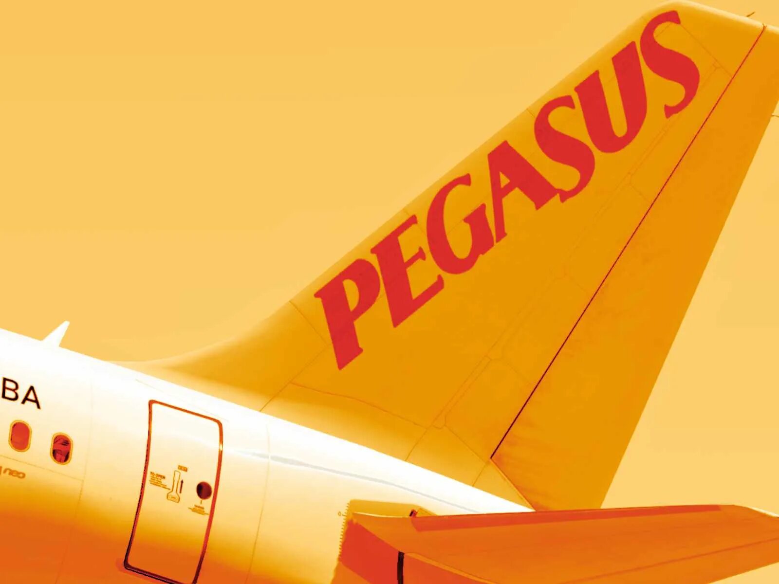 Авиакомпания Pegasus Airlines. Самолет Пегасус. Пегасус авиакомпания Pegasus Airlines. Pegasus Airlines реклама. Pegasus авиакомпания сайт