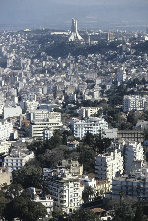 Oran алжир. Порт аннаба алжир. Алжир столица алжира. Алжир центр города. Алжир это город.