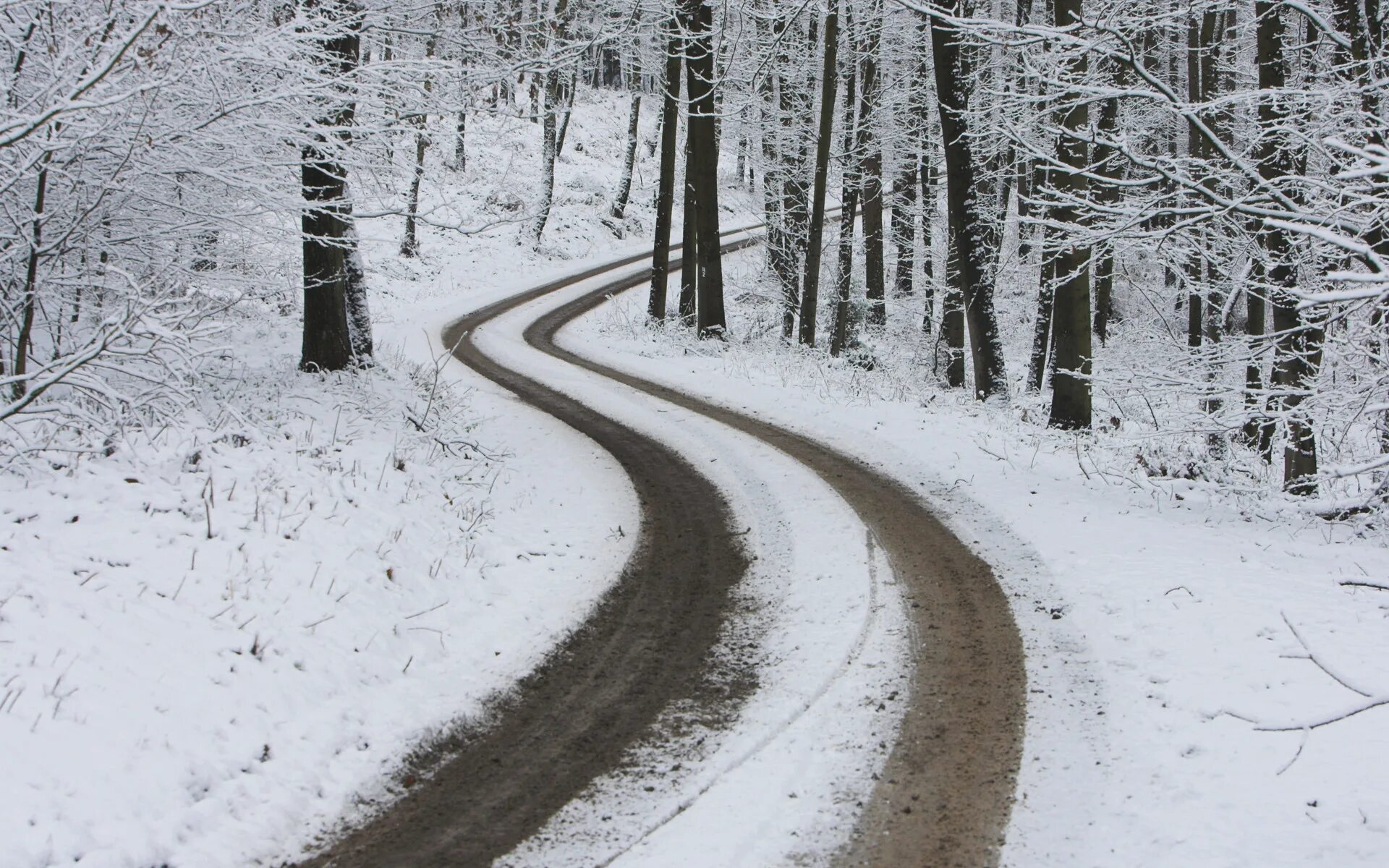На дороге снег лежит. Зимняя дорога. Зимняя дорога в лесу. Зимняя тропинка. Снежная дорожка.