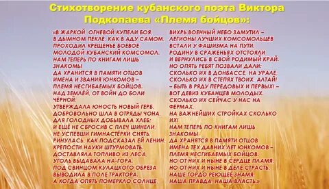 На кубани мы живем